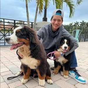 Meet your Posher, Ricardo